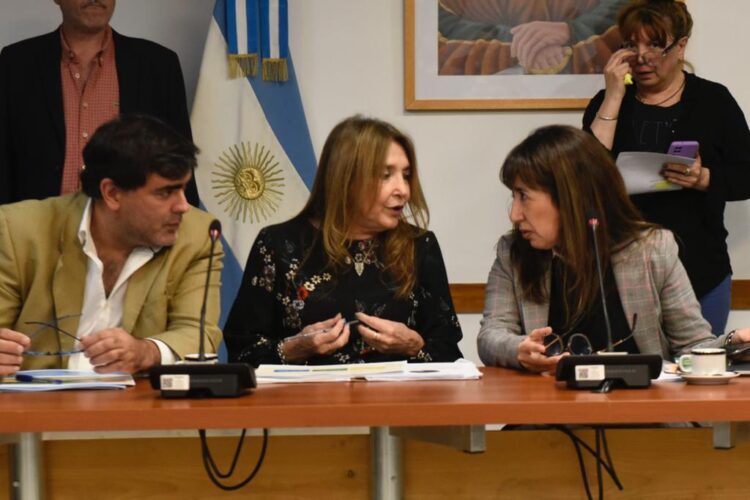 Roxana Reyes presidió el encuentro con la Defensora de Derechos de los Niños