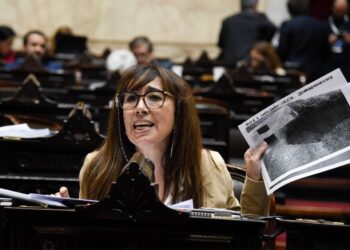 Roxana Reyes: “Este presupuesto millonario no va a ir a Santa Cruz”