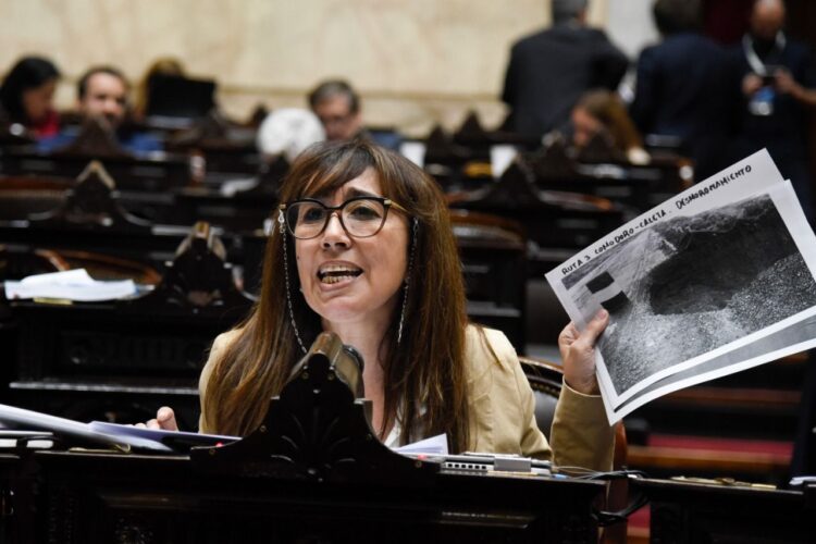 Roxana Reyes: “Este presupuesto millonario no va a ir a Santa Cruz”