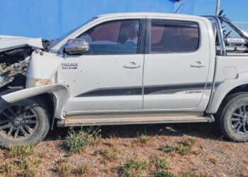 Se salvaron de milagro tras chocar con dos caballos en la ruta