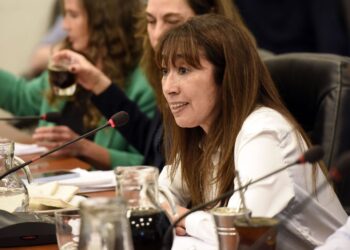 Roxana Reyes denuncia ajuste en las áreas de Niñez