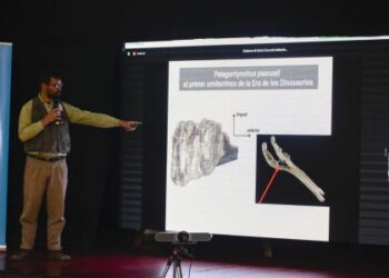 Patagorhynchus Pascuali: Conocé las características del mamífero más antiguo en la historia del mundo