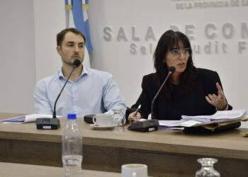 Sabrina Granero expuso en la comisión de Desarrollo Social