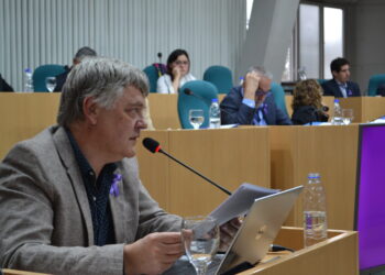 Diputado Oliva: “El gobierno y la Caja de Servicios Sociales deben aprobar el tratamiento para que Sol pueda mejorar su calidad de vida”