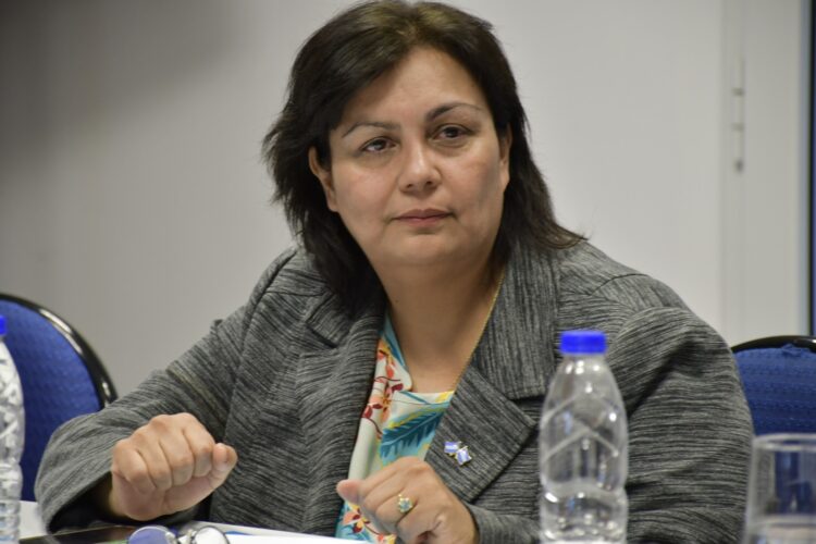 Reunión de la Comisión de Energía y Combustibles