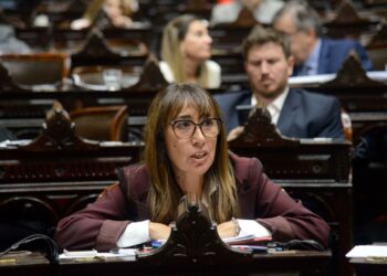 Roxana Reyes celebró la aprobación de la Ley Lucio de su autoría