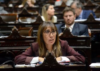 Roxana Reyes le solicita a Massa un dólar diferencial para productores patagónicos