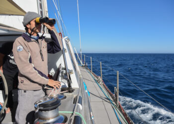 Mar adentro, frente a las costas de Buenos Aires, Río Negro y Chubut