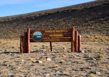 Parque Nacional Patagonia: un paraíso oculto en Santa Cruz