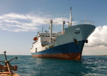 Rusia. Moscú: Kiev intentó atacar un buque militar ruso que acompañaba una nave civil