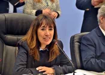 Roxana Reyes celebró el avance en el protocolo contra abuso sexual infantil