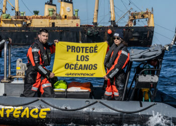 Nuevo reporte de Greenpeace revela múltiples amenazas a los océanos