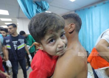 Palestina. Informe actualizado de lo que sigue provocando la barbarie genocida israelí en Gaza y Cisjordania (últimas 24 horas)
