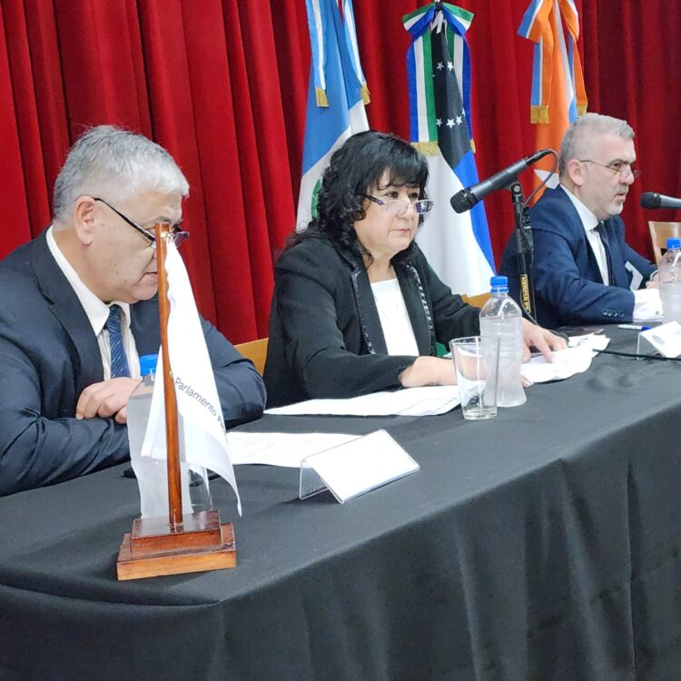 Laura Hindie convocó a la 4ta Sesión del Parlamento Patagónico