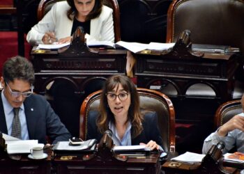 Protocolo Contra Abuso Sexual Infantil: Roxana Reyes celebra un paso importante con la aprobación en Diputados