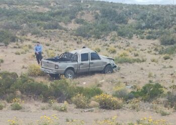 VUELCO EN RUTA 12 ENTRE CAÑADON Y CALETA OLIVIA