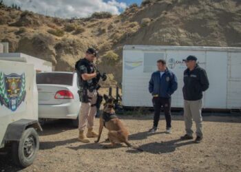 Se realizaron controles en el acceso norte de Santa Cruz