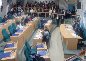 Vidal impulsa un ajuste ligado a Milei y los K buscan encubrir su pasado