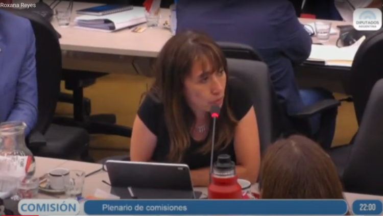 Roxana Reyes: ¨LA JUSTICIA ESTÁ EN EMERGENCIA»