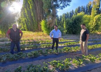 El Consejo Agrario Provincial relevó delegaciones del interior de Santa Cruz