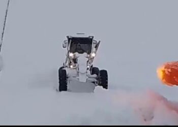 Vialidad Provincial trabaja arduamente en las rutas de Santa Cruz