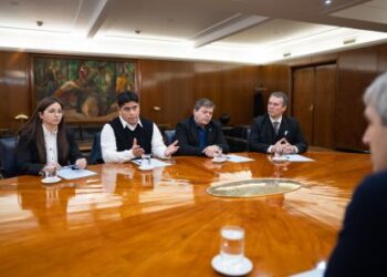 Vidal: “El crédito de Alicia nos costó 20 escuelas y 15 hospitales”