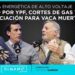 Agenda energética de alto voltaje: juicio en Estados Unidos por YPF, cortes de gas y financiación para el Vaca Muerta Sur