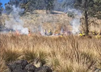 Extinguieron quema descontrolada de pastizales en Pico Truncado