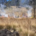Extinguieron quema descontrolada de pastizales en Pico Truncado