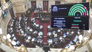 El Senado rechazó los vetos y obliga a cumplir las leyes de emergencia pediátrica y financiamiento universitario