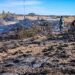 Bomberos de Pico Truncado sofocaron incendio de pastizales y arbustos