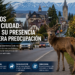 Bariloche: crece la presencia de ciervos en zonas urbanas y genera preocupación
