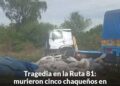 TRAGEDIA EN RUTA 81: CINCO PERSONAS FALLECIDAS EN UN VIOLENTO SINIESTRO VIAL