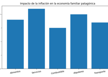 Inflación en la Patagonia: El impacto silencioso que golpea a la economía familiar
