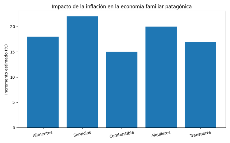 Inflación en la Patagonia: El impacto silencioso que golpea a la economía familiar