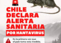 Chile declara alerta sanitaria por hantavirus ante el aumento de casos graves