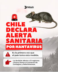 Chile declara alerta sanitaria por hantavirus ante el aumento de casos graves
