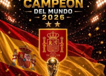 Argentina dio pelea hasta el final, pero fue superado por España que ganó 1 a 0 y se consagró campeón del mundo