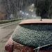 Ola polar: alerta amarilla por frío extremo en 17 provincias