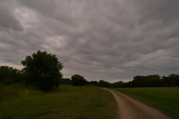 Tormentas y fuertes vientos en todo el país: alerta naranja en AMBA el fin de semana