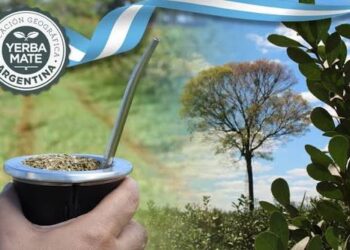 La India abre sus puertas a la yerba mate argentina y genera una oportunidad histórica para las exportaciones