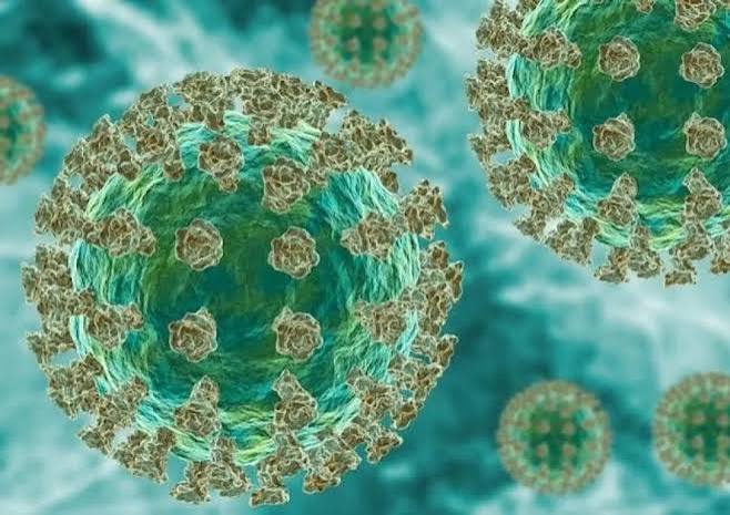 Detectan en Argentina los primeros casos de la variante BA.3.2 de coronavirus.